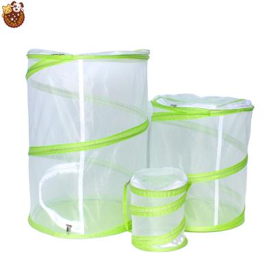 China Breathable Fabric And Mesh Collapsible Container With Insect And Butterfly Habitat Cage for sale