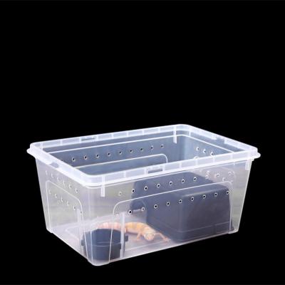 China Small Mini Plastic Breathable Reptile Box Feeding Greenhouse, Reptile Travel Habitat Box For Gecko Frog Spider Snake Baby Lizard for sale