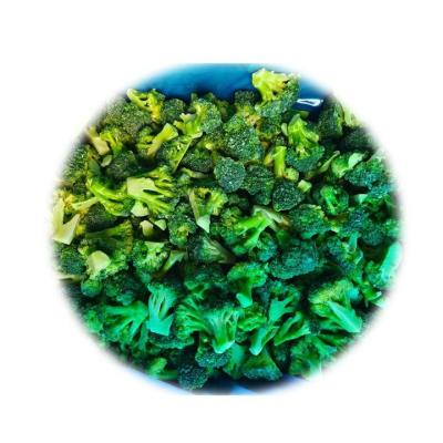 China Factory Price Wholesale Frozen Vegetable Fresh Cut Type and Volume Fresh Cut Type Pack Frozen Chinese Broccoli for sale