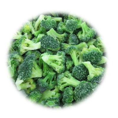 China All Green Vegetables Wholesale Price Vegetable Broccoli Frozen 3-5cm Organic All Green Frozen Broccoli From China for sale