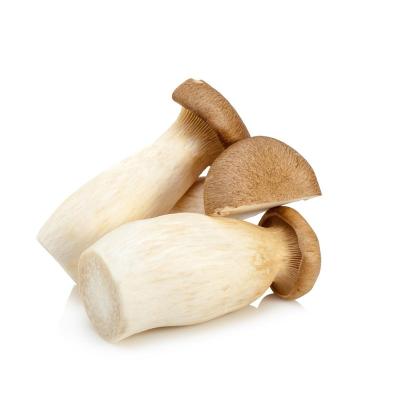 China FROZEN Factory-Rated Fresh Mushrooms Cultured Organic Food King Frozen Oyster Mushroom No Added for sale