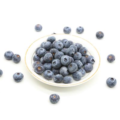 China Faster Delivery Faster Delivery All-Natural Food Fresh Taste Wild Frozen Blueberries With Packaging for sale