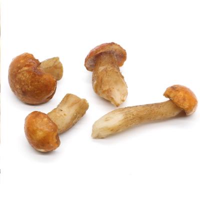 China Direct sales production direct sales production of new crops of the edulis (wild) mushroom porcini wild boletus in bulk for sale