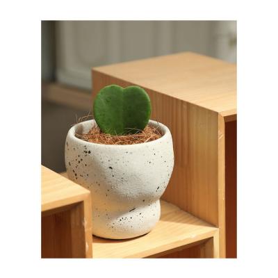 China Modern Minimalist Home Planter Pot Cheap Flower Decoration Cement Plant Pots for sale