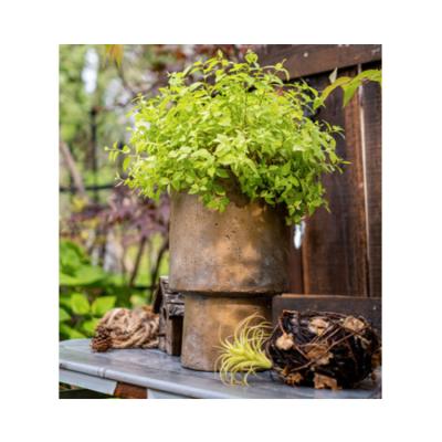 China Hot Selling Minimalist Custom Handwork Cement Garden Gardening Pot For Home Decoration for sale