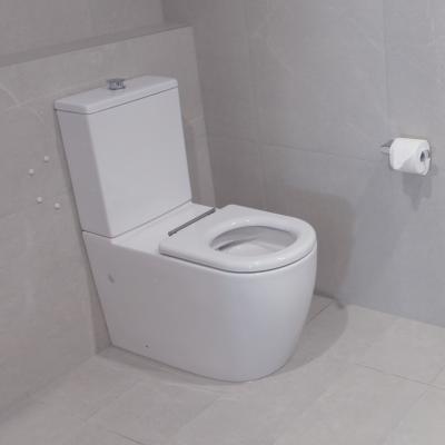 China Double-Flow Public Sanitary Access Toilet Bidet Aged Carecloset Easy Flush Floor WC Pot Over Waist Drive Up Bidet Spray Jet Comfort Seat for sale