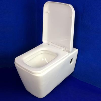 China Bathroom Laminated Toilet Wand Trap Concealed Camping Pot Gold Shine Toilet Cistern Matte Universal Toilet Sanitary Matte Toilet Closet for sale