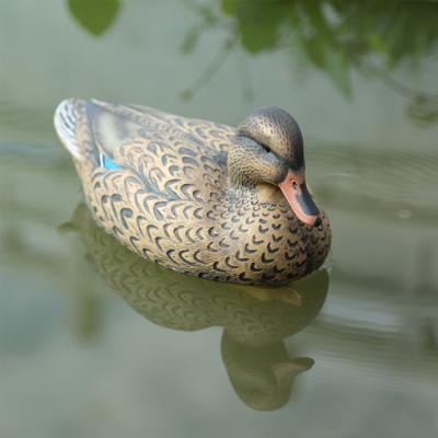 China Plastic Bait Duck Hunting Duck Floating Outdoor Hunting Decoy for sale