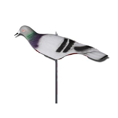 China Lightweight Plastic Assembled Decoys Pigeon Bird Hunting Decoy for sale