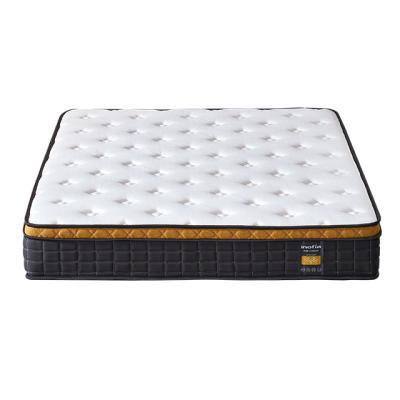 China High Quality Sleep Foam Inofia Comfort Massage Freestanding Pocket Spring Boxed Mattress On Sale for sale