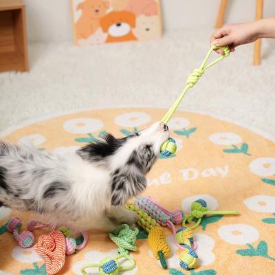 China Playing Dog Toys 7PC Set of Braided Rope Toys for Pet Teeth Cleaning and Interactive Fun for sale