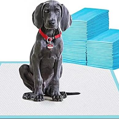 China Healthy Style Waterproof Puppy Diaper for Small Animals Training Disposable Potty Pad for sale