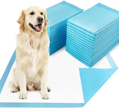 China Puppy Pee Training Super Absorbent Disposable Dog Training Pads for Potty Training for sale