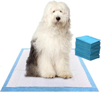 China Dogs Cats Etc. Pet Animals Washable Waterproof Pet Mat for Urine Absorbent Training for sale