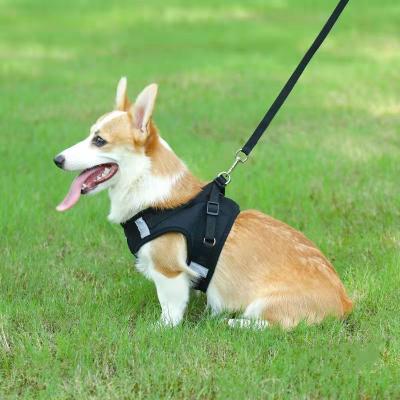 China Personalized Private Label Cats Dogs Harness Adjustable Reflective Breathable With Free Leash for sale