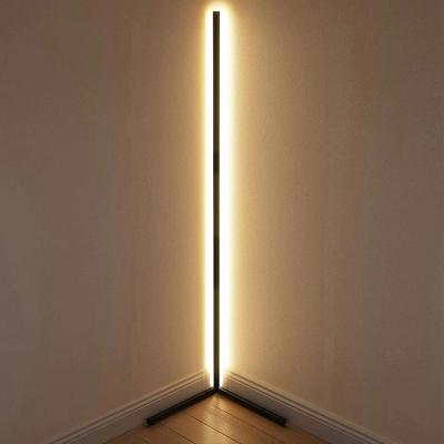 China Traditional floor lamp with outdoor, LED corner position lamp for living room, RGB Dimmable light for bedroom for sale