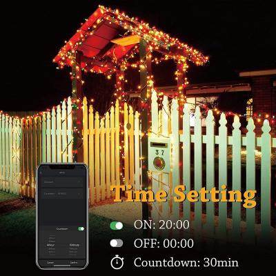 China Blue Tooth USB Christmas Tree String Lights RGB Copper String Lights Music Copper Light Decorative Accessible Colorful Sync for sale