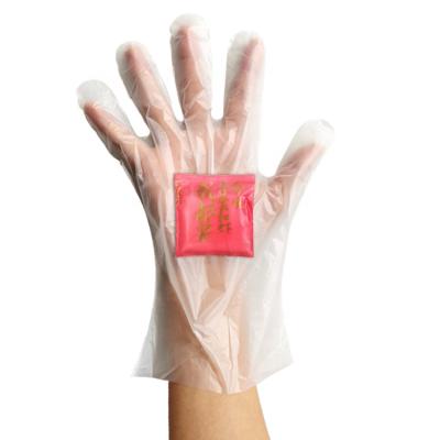 China 100% BIODEGRADABLE Eco-Friendly Cornstarch PLA Pair Of Disposable Gloves Biodegradable And Compostable for sale