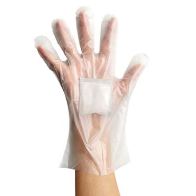 China 2 Pieces Per Bag Biodegradable Disposable Folding Gloves PLA Material New Material BIODEGRADABLE Gloves for sale