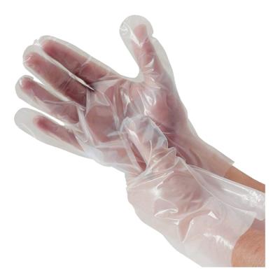 China Disposable Food Contact Water Proof Oil Proof Touch Screen PE Cleaning Gloves For Food Restaurant for sale