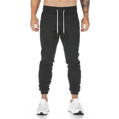 China Other Men's Sport Pants Fitness Sweatpants Bodybuilding Running Pants For Men for sale