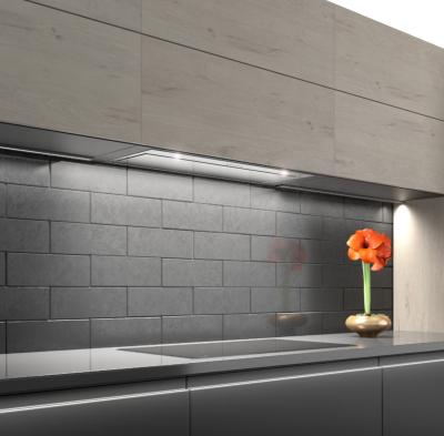 China High End Built-in Type Car Insert Kitchen Range Hood Stainless Steel 2019 New Design for sale