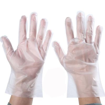 China 2021 Hot Sale Food Grade Service Clear White Blue OEM Customized Strip Plastic Disposable Gloves for sale