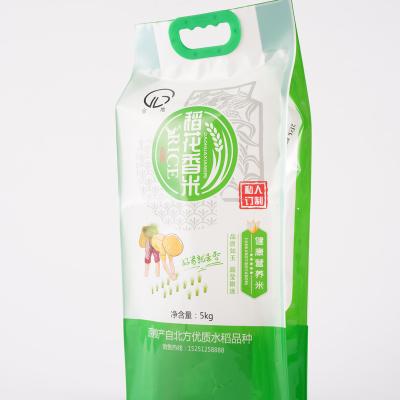 China Food Factory Wholesale Price Custom Printed Eco Friendly Polypropylene Rice Bags for sale