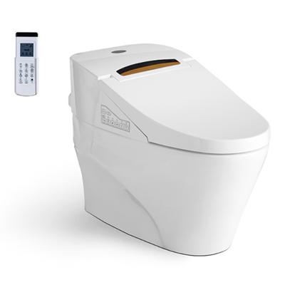 China New Style Good Quality Double-Flow Electronic Bidet Toilet Seat Attachment Smart Toilet for sale