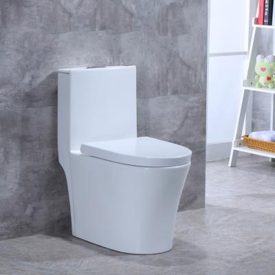 China Double-flow Chaozhou Ceramic Factory South American Cheap One Piece Siphonic Toilet for sale