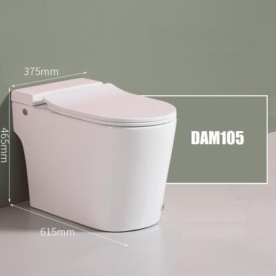 China Double-flush European Modern Sanitary Ware Floor Standing Ceramic Tankless Toilet for sale