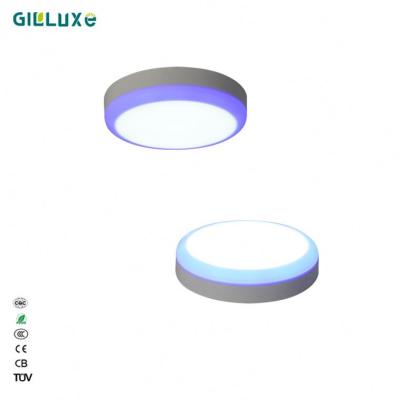 China Factory Direct Price Double Color Dimmable Outdoor Round Ceiling Lighting Led Panel Light for sale