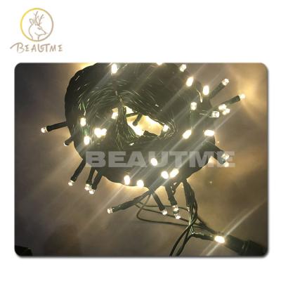 China AC110V/220V AC110V/220V Slow Rough Outdoor Christmas Decorative Warm White Led String Light Led String For Weeding Party Garden for sale