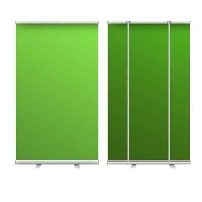 China Cheap SOLID COLOR 110*190 Aluminum Green Backdrop With Stand Green Photography Backdrop for sale