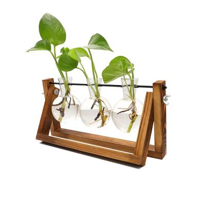 China Minimalist Flower Container with Wood Support Air Flower Pot Bulb Vase Vintage Decoration 3 Glass Bulbs for sale