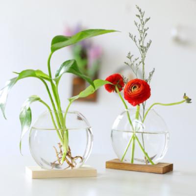 China Modern hydroponic green glass home office living room vase decoration radish wood art wind desktop decoration for sale