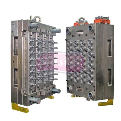 China Product PET preform master packing 8 caviti preform mold inject preform mold for sale