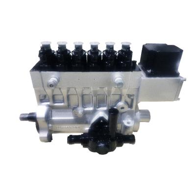 China Diesel engine with cylinder diameter at 110~145mm Weifu factory sale purchase car parts P10 pump fuel system pump for sale