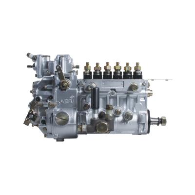 China Diesel engine with cylinder diameter below 135mm Weifu PW fuel system special hot sale pump for wholesale for sale