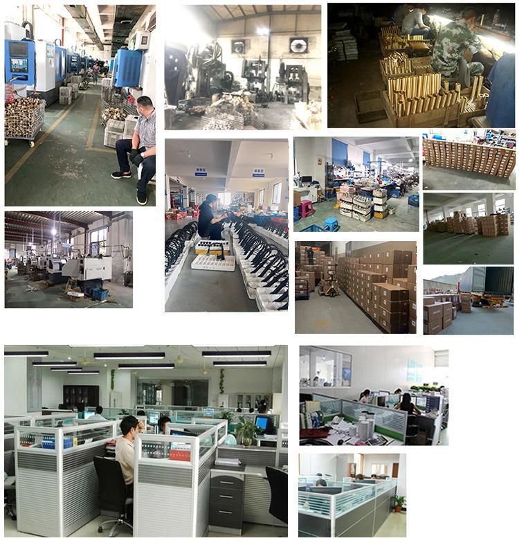 Verified China supplier - Zhejiang Pineapple Intelligent Techonology Co., Ltd.