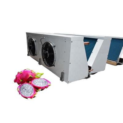 China Blast Refrigerator Room Dragon Fruit Cold Storage Keep Fresh Pre-Refrigeration Chiller Anti-Corrosion And Fast Shrink Cooler for sale