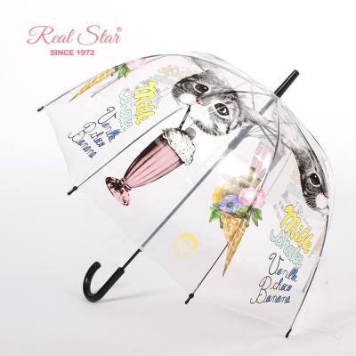 China Modern Adult Clear Dome Umbrella Mushroom Shape Ice Cream Printing Cat Transparent Umbrellas for sale