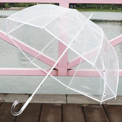 China Modern RST 50 Inches Large Size Umbrella Fully Clear Crystal Dome Handle Transparent Umbrella for sale