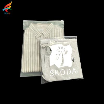 China Recyclable 100% Biodegradable Custom Printed Clear Plastic Zipper Small Packaging Bags For Jewelry Paste Strong Custom Logo Printing for sale