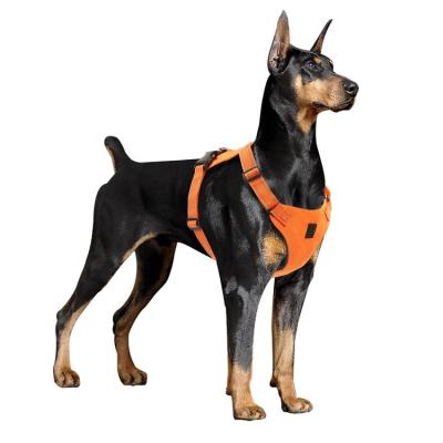 China Thoughtful Innovative Design Breathable Dog Harness for sale