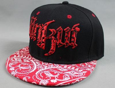 China Red Amoeba Printing Hip Hop Baseball Caps 3D Flat Embroidery For Adult for sale