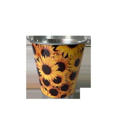 China Sustainable Garden Tin Bucket for sale