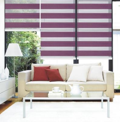 China Customized Flame Retardant Sunscreen Fabric Double Layer Zebra Indoor Roller Shades for sale