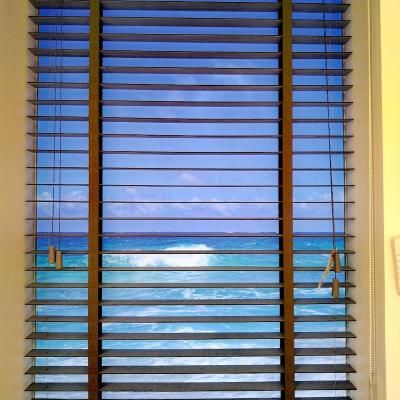 China Fireproof Vertical Window Blinds Blinds And Venetian Blinds With Component Strip for sale