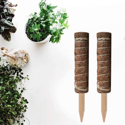 China Modern Manufacturers Wholesale Support Rod Custom Moss Pole 15.7 Inch Indoor Plant Growth Pole for sale